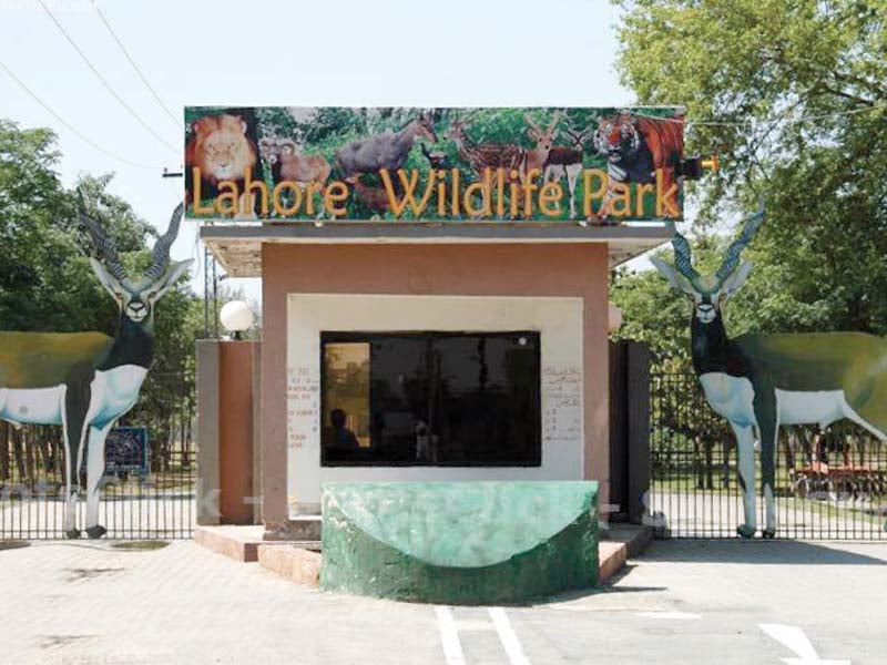 Lahore Wildlife Park Ticket Price & Timing